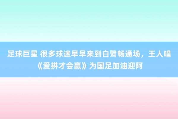 足球巨星 很多球迷早早来到白鹭畅通场，王人唱《爱拼才会赢》为国足加油迎阿