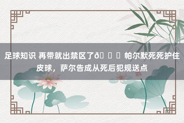 足球知识 再带就出禁区了😂帕尔默死死护住皮球，萨尔告成从死后犯规送点