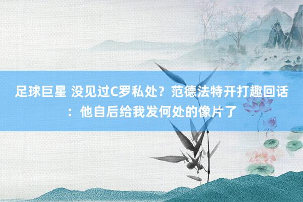 足球巨星 没见过C罗私处？范德法特开打趣回话：他自后给我发何处的像片了