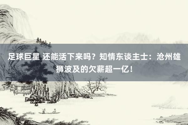 足球巨星 还能活下来吗？知情东谈主士：沧州雄狮波及的欠薪超一亿！