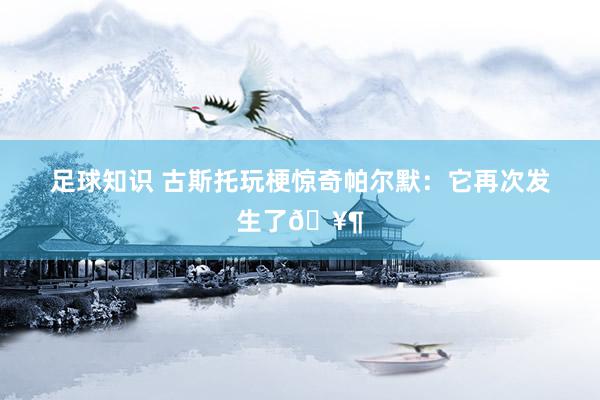 足球知识 古斯托玩梗惊奇帕尔默：它再次发生了🥶